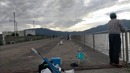 サンバカーニバル