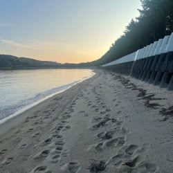 久しぶりの地元サーフ釣行でした