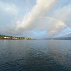 鹿児島錦江湾で1つテンヤのタイ釣り、また行ってきました