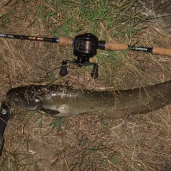 真夏のパターン