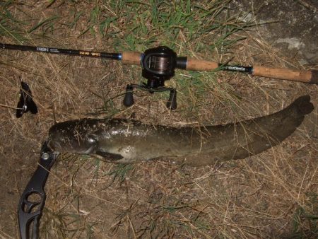 真夏のパターン