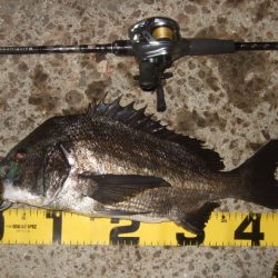 新規ポイントを開拓に