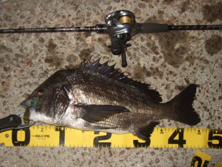 新規ポイントを開拓に