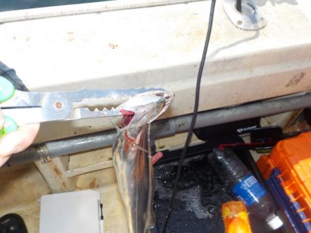 タチウオ第1戦〜盛和丸〜