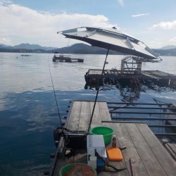 かかり釣り第1戦〜たかし丸〜