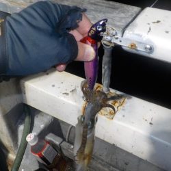 ティップラン初釣行〜倉丸〜