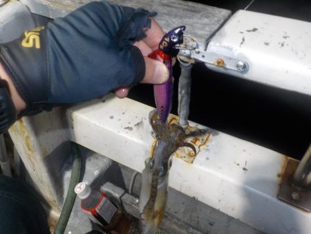 ティップラン初釣行〜倉丸〜