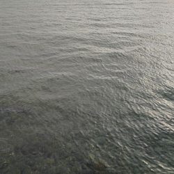 ライトゲームとエギング