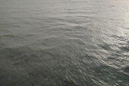 ライトゲームとエギング