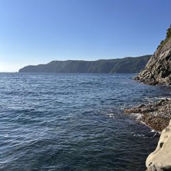 伊根の磯釣り🎣