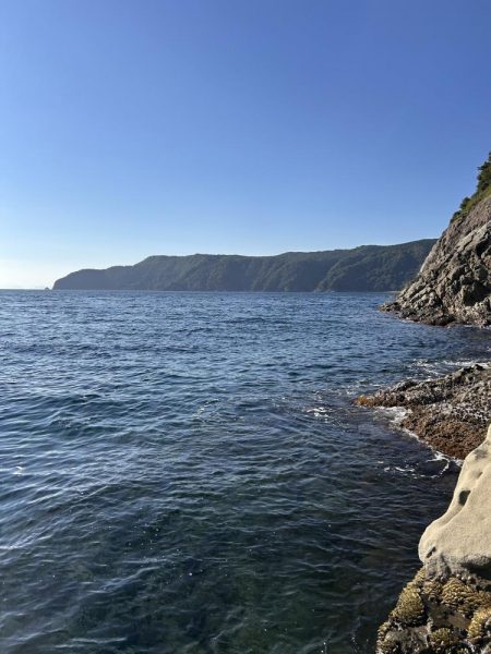 伊根の磯釣り🎣