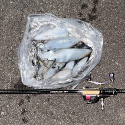 エギング　佐渡遠征③その1