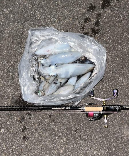 エギング　佐渡遠征③その1