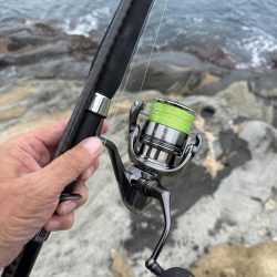 味をしめた磯にて、、ツヌケました〜