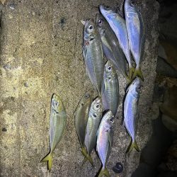 フロートアジング