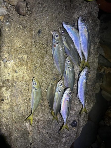 フロートアジング