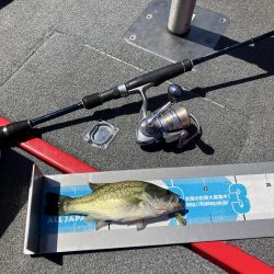 北山田小バスは管釣り状態です。