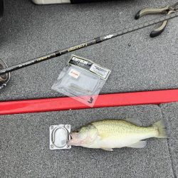 秋バスまだ早いようでした。