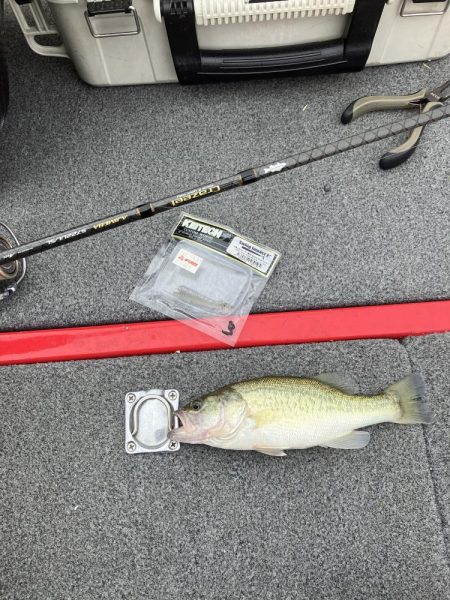 秋バスまだ早いようでした。