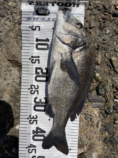 イチノ兄弟、釣果!