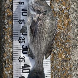 イチノ兄弟、釣果!