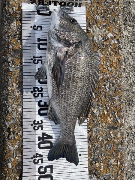 イチノ兄弟、釣果!