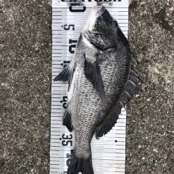 イチノ兄弟、釣果！