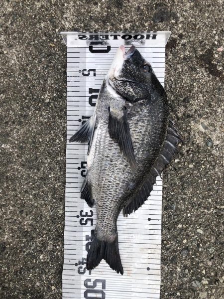 イチノ兄弟、釣果！