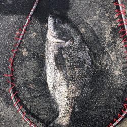 イチノ兄弟、釣果！