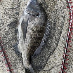 イチノ兄弟、釣果!