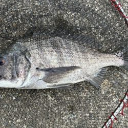 イチノ兄弟、釣果!