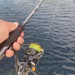 2025 佐渡ヶ島エギング Vol.6【9月9日】