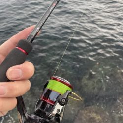 2025 佐渡ヶ島エギング Vol.7【9月11日】