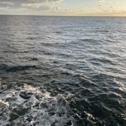 2025 佐渡ヶ島エギング Vol.12【9月19日】