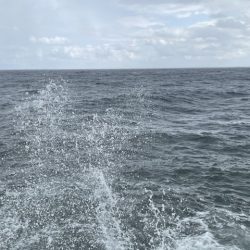 2025 佐渡ヶ島エギング Vol.14【9月21日】