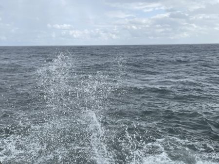 2025 佐渡ヶ島エギング Vol.14【9月21日】