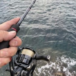 2025 佐渡ヶ島エギング Vol.16【9月23日】