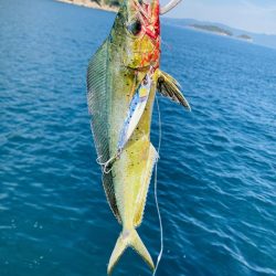 ジグで五目達成