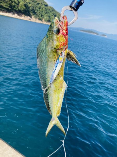 ジグで五目達成