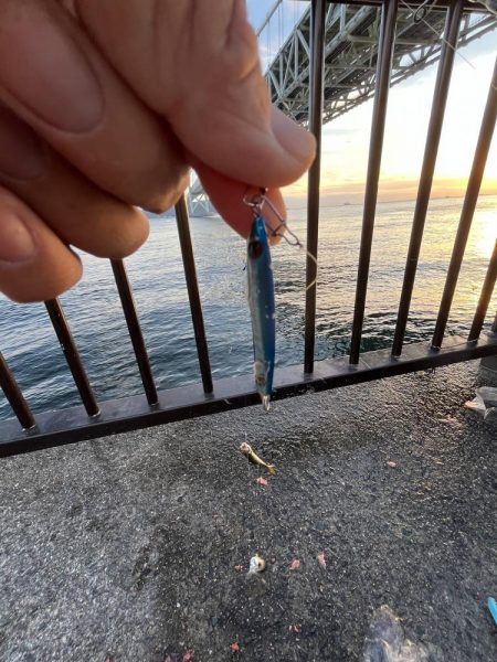 三連休前‥‥魚より人多い