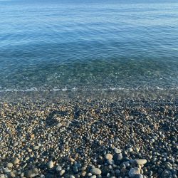 アオリとツバイソ