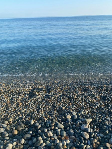 アオリとツバイソ