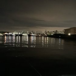 秋シーバススタートか⁉︎