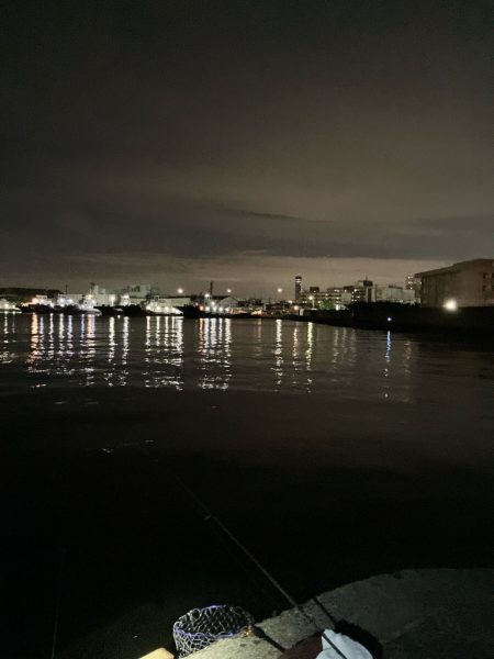 秋シーバススタートか⁉︎