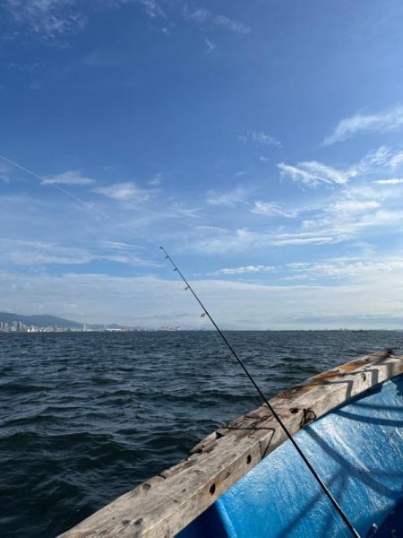 神戸沖無限サゴシ