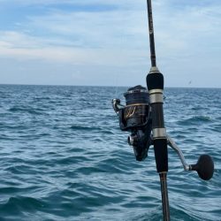 オフショアジギング