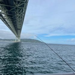 軍艦グリーンでアオリイカ