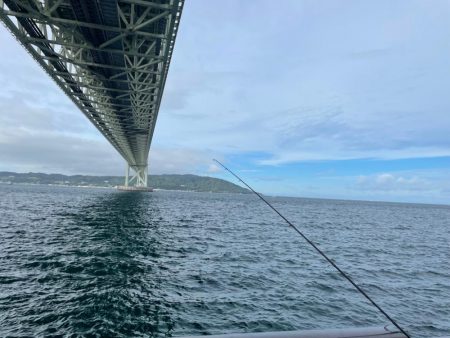 軍艦グリーンでアオリイカ