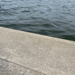 ファミリーフィッシング