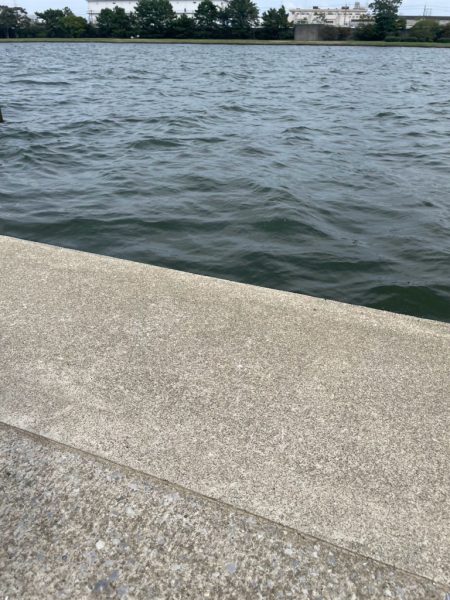 ファミリーフィッシング